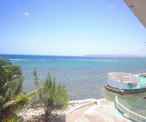 Sahara Hostel Montego Bay Jamaica