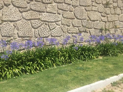 صورة الفندق 19