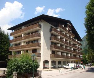 Alpen Apartment Pyrkestrasse Bad Hofgastein Austria