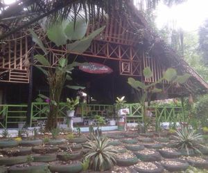 Pondok Wisata Guesthouse Bukit Lawang Indonesia