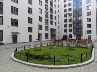 Black Dog Apartment