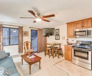 1 Bedroom Condo Unit 345 Snowshoe United States