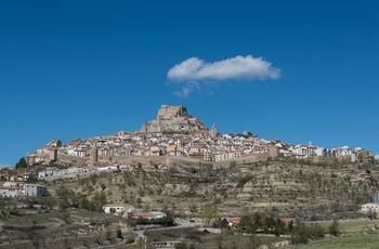صورة الفندق 21