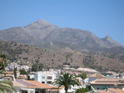 صورة الفندق 14