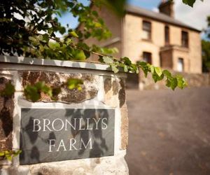 Bronllys Farm Llanelli United Kingdom
