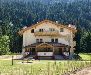 Genzianella Molveno-Andalo Molveno Italy