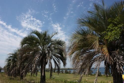 صورة الفندق 22