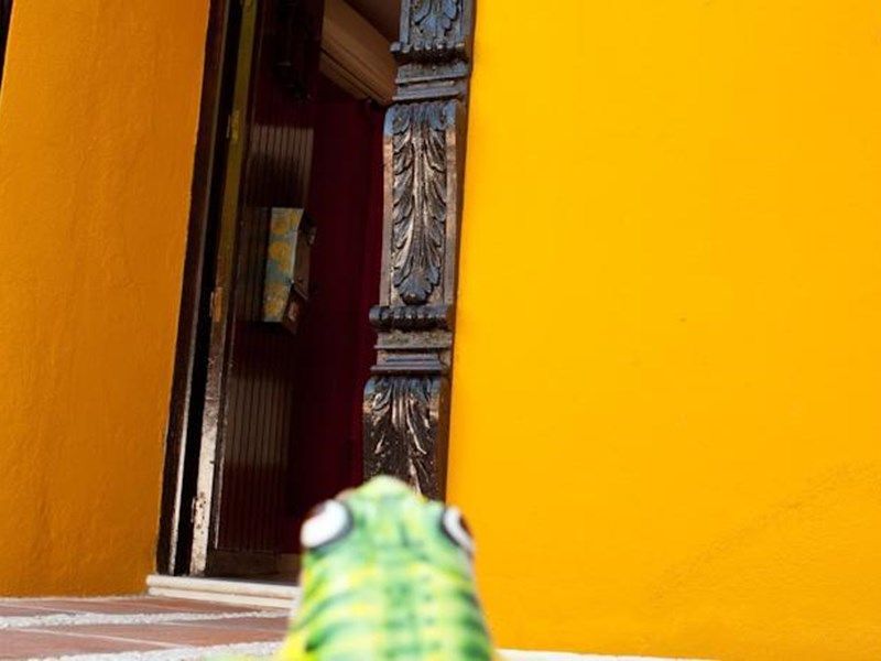 Hotel Photo 15