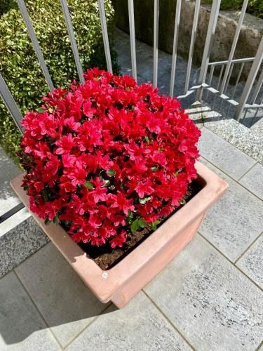 صورة الفندق 14