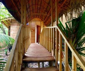 Eco friendly Seasons Four Treehouse in Matara Matara Sri Lanka