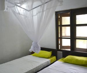 Fig and Gecko Hostel Anuradhapura Sri Lanka