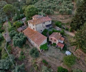 LOrto dei Bruchi Capannori Italy