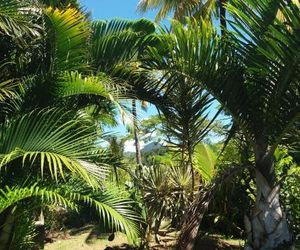 Gîte 1001 Nuits - SINBAD Bouillante Guadeloupe