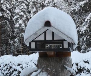 Ferienwohnung Haus Zeier Hahnenklee-Bockswiese Germany