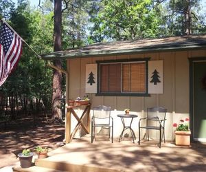 Adair Springs Cabin Pinetop United States