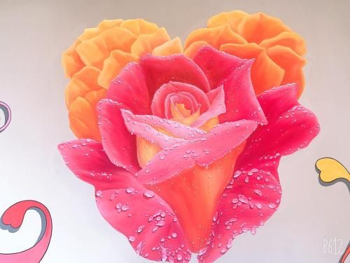 صورة الفندق 12