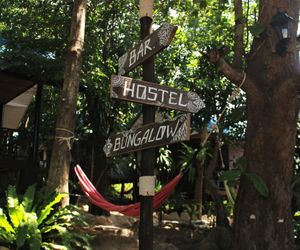 BLACK WOOD Koh Tao Island Thailand