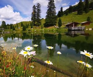 Berghäusl Vorderlanersbach Austria