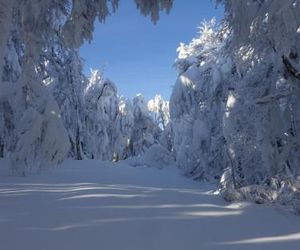 Chalet la Petite Perle Gerardmer France