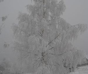 Dom na wzgórzu Polanica-Zdroj Poland