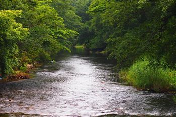 صورة الفندق 14