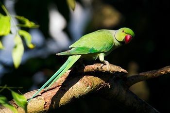 صورة الفندق 15