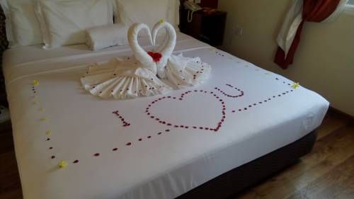 صورة الفندق 15