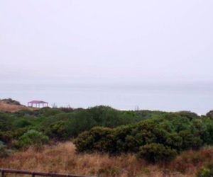 Driftwood Aldinga Australia