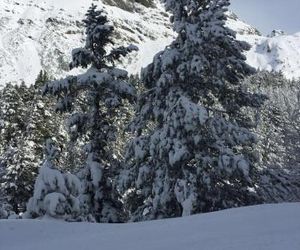 Los Tilos-BPirineos Benasque Spain