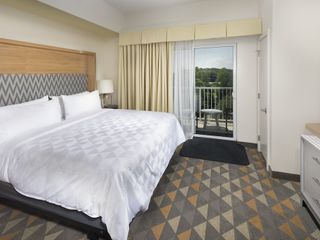 Hotel pic Holiday Inn Hotel & Suites Arden - Asheville Airport, an IHG Hotel