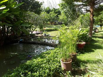 صورة الفندق 15