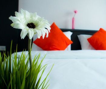 صورة الفندق 2