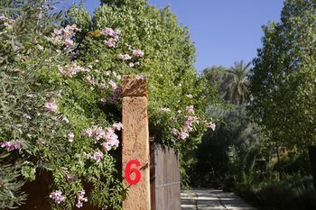 صورة الفندق 16