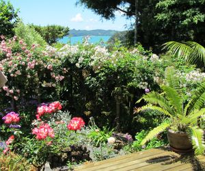 Craicor Accommodation Garden Suite Paihia New Zealand