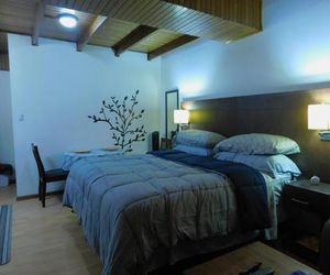 Modern Studio Loft Apt King Bed 10 min frm airport San Antonio Costa Rica