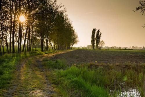 صورة الفندق 18