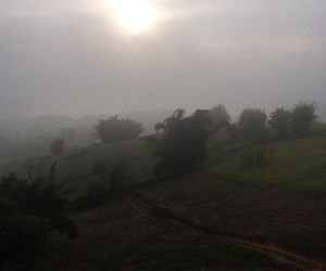 Charm TalaMok Khao Kho Thailand