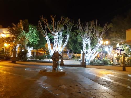 صورة الفندق 19