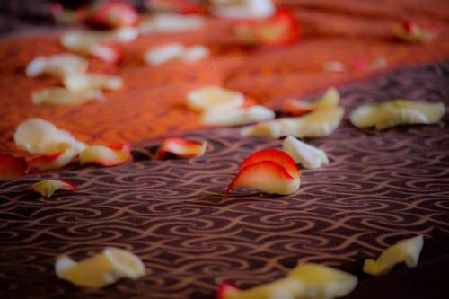 صورة الفندق 18