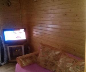 Guest house on Tsentralnaya 25 Lesnoy Russia