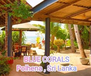Blue Corals Beach Bungalow Matara Sri Lanka