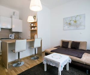 Apartment in the city center Vienna Vienna Austria