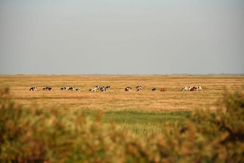 صورة الفندق 23