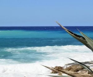 Kissonerga beach apartment Kissonerga Cyprus