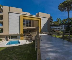Boreas Carilo Carilo Argentina