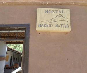 Hostal Barros Nativo San Pedro De Atacama Chile