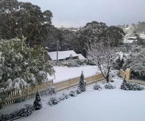 Sunflower Cottage Katoomba Australia