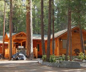 66 Grizzly Giant Wawona United States
