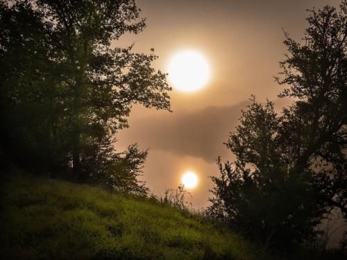 صورة الفندق 14