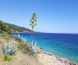 Apartments Sarbunal Bol Croatia